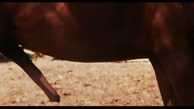 年轻的青少年与年长的家伙的艰苦经历